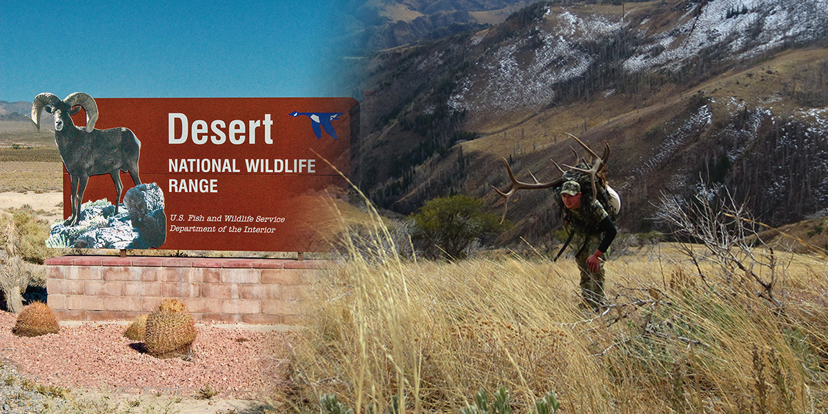 Desert refuge and elk hunter Desert refuge and elk hunter